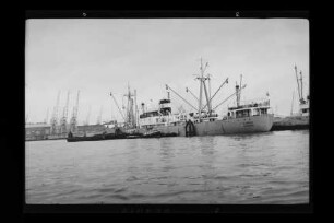 Congo (1955), Frachtschiff, Detjen & Co., Hamburg, Bau-Nr. 482