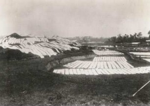 Bei Longchang (zu Neijiang), China. Leinenbleiche auf Grasflächen der Landschaft am mittleren Jangtse