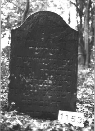 Grabstein 1153 (Index: 99899865) Material: Sandstein Zustand: angewittert Maße HxBxT: 96x60x10 cm Beschreibung: Stele mit Konvexbogenabschluss, im Bogenfeld Blumen Symbolik: Blumen: Grabstein 1153