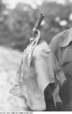 1. Landwirtschaftliche Leistungsschau, 8. Juli 1950