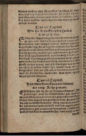 Das 15. Capitel. Wie die kranckheit der faulen brut zu heilen