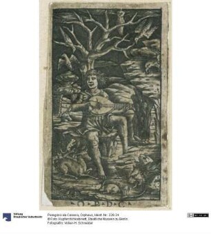 Orpheus
