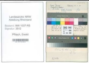 Entnazifizierung Ewald Pflitsch , geb. 19.10.1904 (Lehrer)