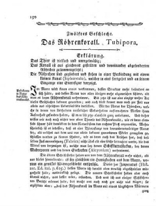 Zwölftes Geschlecht. Das Röhrenkorall. Tubipora.