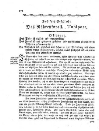Zwölftes Geschlecht. Das Röhrenkorall. Tubipora.