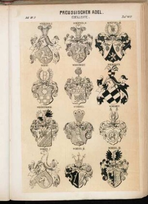 Taf. 402. Schätzel I. - Schätzel II. - Schätzel III. - Schau. - Schaubert. - Schauroth. - Schävenbach. - Schedel. - Scheden. - Scheel I. - Scheel II. - Scheel III.