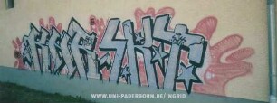 KHR SKt