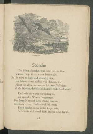 Störche
