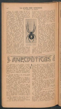 La araña más venenosa : Su picadura y su antídoto