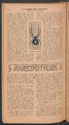 La araña más venenosa : Su picadura y su antídoto