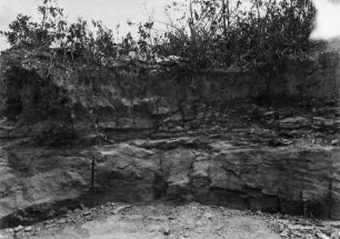 Sandstein : Blick auf einen Sandsteinfelsen.