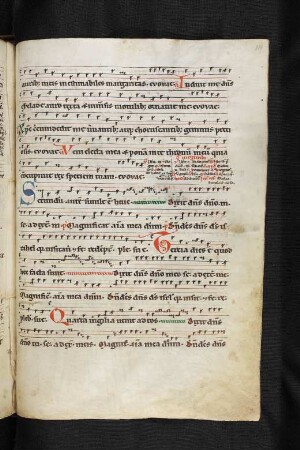 Commune plurimorum virginum