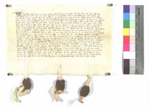 Prior und Konvent des Predigerordens zu Wimpfen auf dem Berg verkaufen an Albrecht Kusch, Chorherrn zu Öhringen, Gülten zu Tiefensall gelegen (Aufzählung derselben); ausgestellt o.O., 1364 (Hl. Uffahrttag unseres Herrn); Pergament, Siegel: Prior und Konvent zu Wimpfen, Offizial zu Wimpfen im Tal.