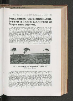 Umgebrochener Teil des Heidmoors, Sommer 1935