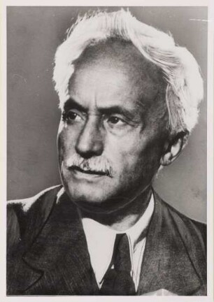 Carl Severing, Politiker