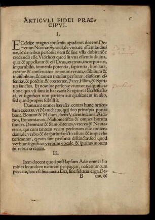 Articuli Fidei Praecipui.