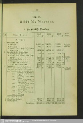 Cap. IV. Städtische Finanzen