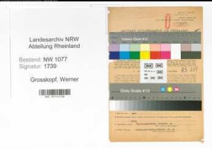 Entnazifizierung Werner Grosskopf , geb. 18.11.1902 (Polizist)