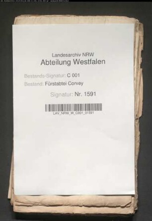 Belehnung der von Exter, von Post und von Brinck mit dem Amt Iggenhausen