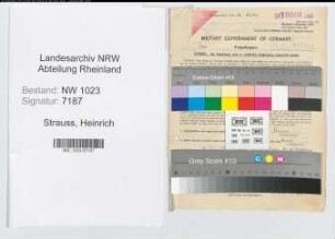 Entnazifizierung Heinrich Strauss , geb. 04.06.1900 (Verw.Obersekretaer)