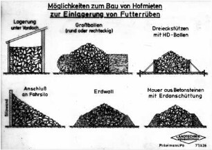 Möglichkeiten zum Bau von Hofmieten zur Einlagerung von Futterrüben