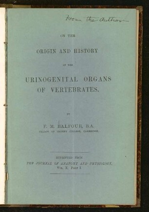 On the origin and history of the urinogenital organs of vertebrates