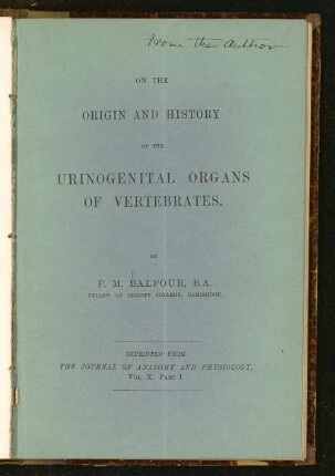 On the origin and history of the urinogenital organs of vertebrates