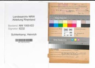 Entnazifizierung Heinrich Schlienkamp, geb. 07.10.1899 (Steiger)