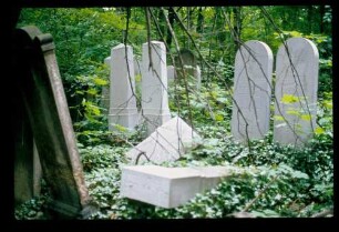 Israeli[…]. Friedhof 27.6.78.