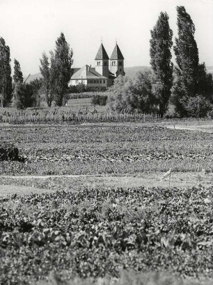 Die Stiftskirche St. Peter und Paul auf der Insel Reichenau, inmitten von Gemüsefeldern