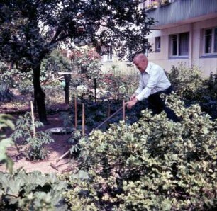 Arbeiten im Garten