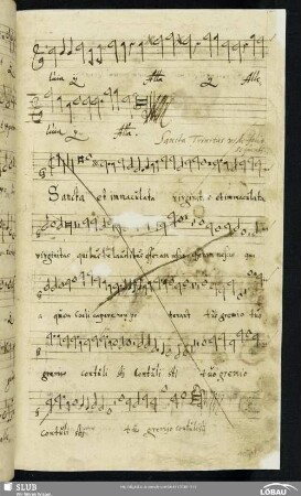 Sancta trinitas [gestrichen]