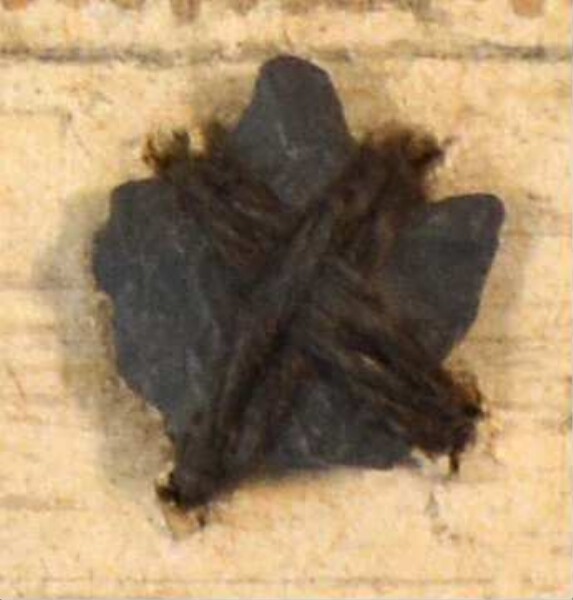 Stone arrowhead