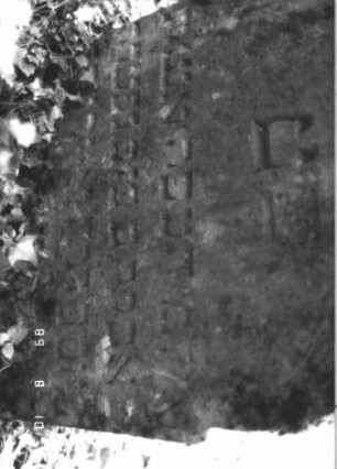 Grabstein 229 (Index: 99799967) Material: Sandstein Zustand: verwittert, eingesunken, teilw. Textverlust Maße HxBxT: 77x61x9 cm Beschreibung: Stele, eingezogener Stelzbogenabschluß: Grabstein 229 (Detailaufnahme 2)
