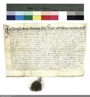 Revers Georgs Löw zu Steinfurth bezüglich der Belehnung mit einem Freihof und sechseinhalb Huben Land in Echzell durch Balthasar [von Dernbach], Abt von Fulda