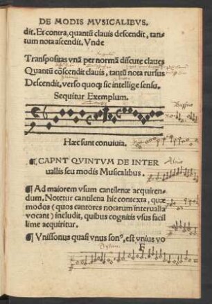 Capnt Quintum De Intervallis seu modis Musicalibus.