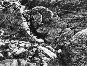 Gletscherschrammen : Glazial geformte Felswand