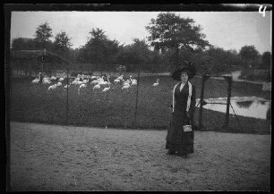 Hamburg: Dame ("nette Hamburgerin, mit der sich Eugen von Frauenholz gut vertrug") im "Tierpark von Hagenbeck in Stellingen" vor Flamingo-Gehege (zur Seite blickend)