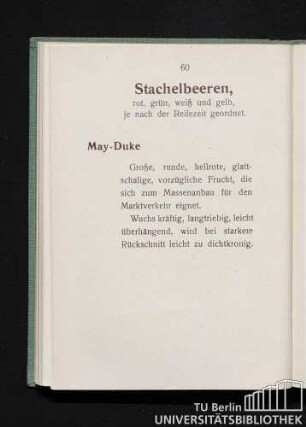 Stachelbeeren, rot, grün, weiß und gelb, je nach Reifezeit geordnet. May-Duke.