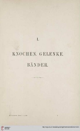 I: Knochen. Gelenke. Bänder