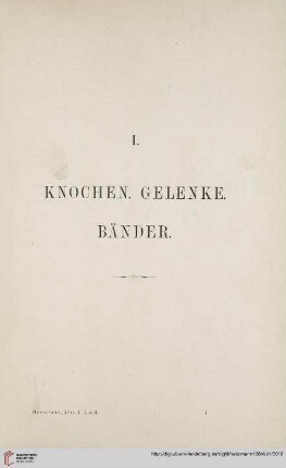 I: Knochen. Gelenke. Bänder