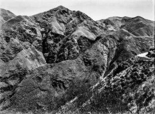 Páramo-Vegetation : Berggipfel mit Páramo-Vegetation