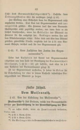 Fünfter Abschnitt. Vom Waisenrath.