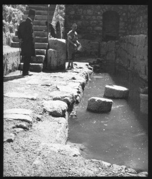 birket silwan v. N.
