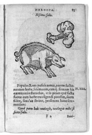 Sisciens fallo.