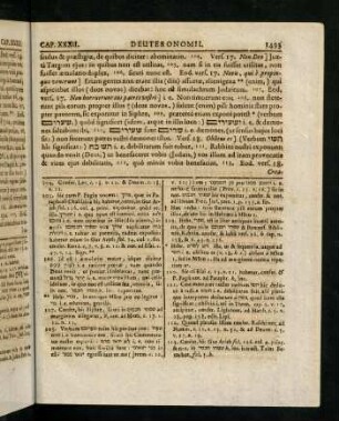 1493-1504, Vers 17 - 42