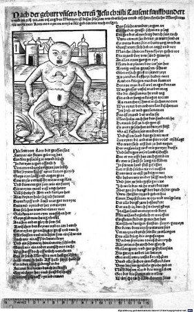 Nach der geburt un[n]sers herren[n] Jesu Christi Tausent funffhundert unnd im XIII/ iar. am VII. tag des Mertzen ist dises selczam wunderliches und erschrockenlichs Monstrum nit weyt von Rom von eynem weybs bilt geborn wie nach volget