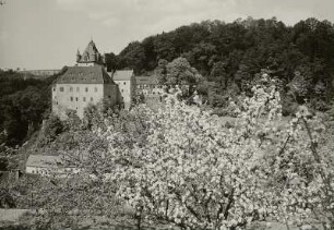 Schloss Kuckuckstein