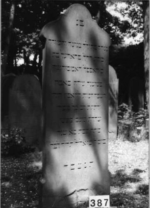 Grabstein 387 (Index: 99629888) Material: Sandstein Zustand: unten leicht abgeblättert Maße HxBxT: 164x60x9 cm Beschreibung: Stele mnit geschwungenem Rundbogenabschluß: Grabstein 387