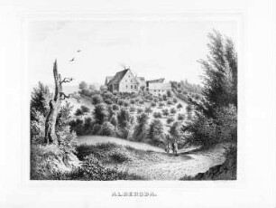 Alberoda